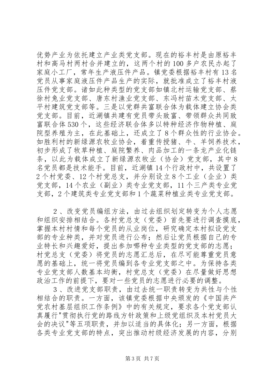 2024年农村党支部建设成功思考_第3页