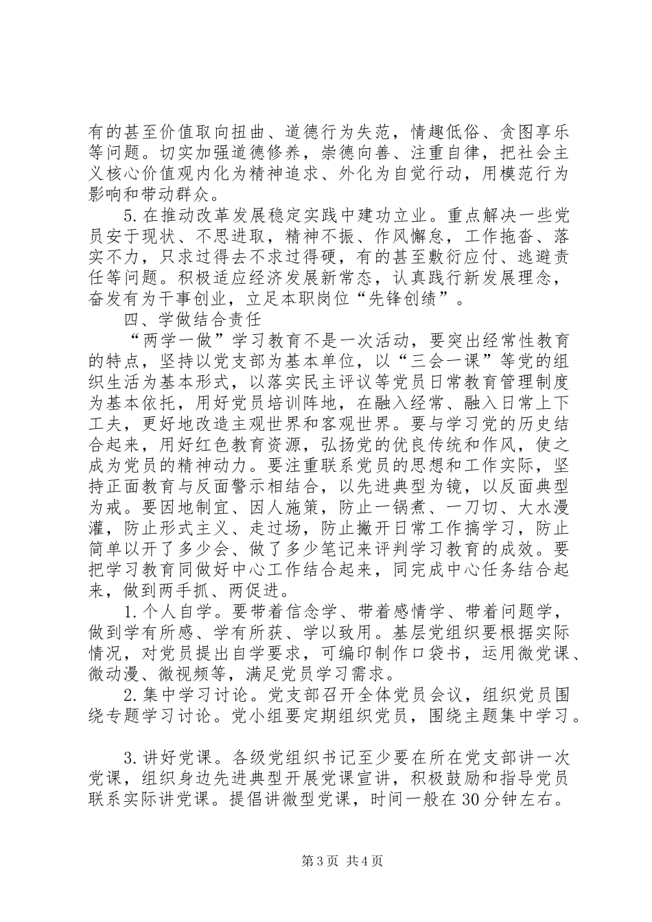 2024年农村党支部书记责任清单_第3页