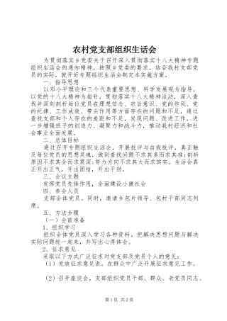 2024年农村党支部组织生话会