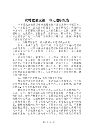 2024年农村党总支第一书记述职报告