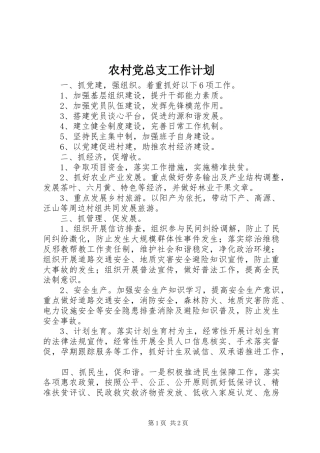 2024年农村党总支工作计划