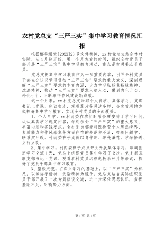 2024年农村党总支三严三实集中学习教育情况汇报
