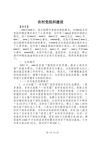 2024年农村党组织建设