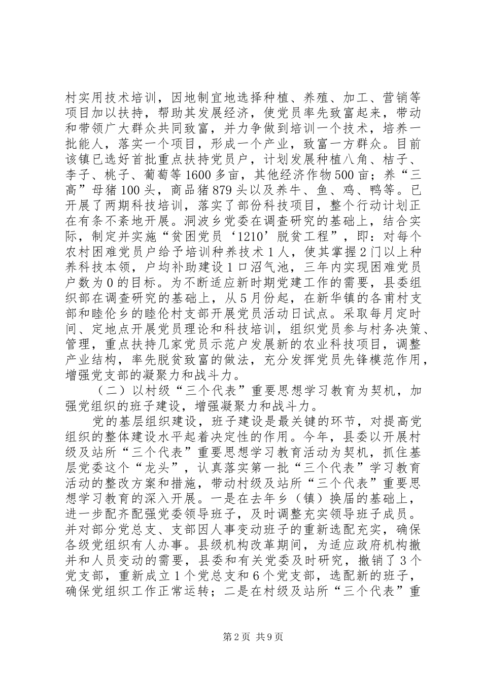 2024年农村党组织建设工作总结_第2页