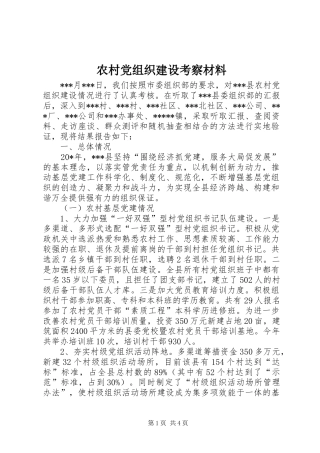 2024年农村党组织建设考察材料