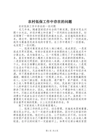 2024年农村低保工作中存在的问题