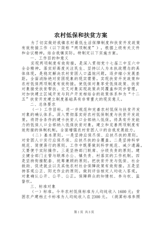 2024年农村低保和扶贫方案