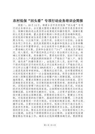 2024年农村低保回头看专项行动业务培训会简报