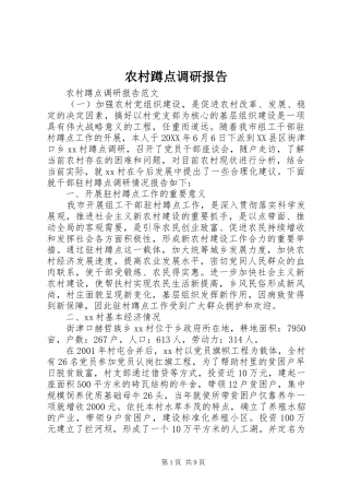 2024年农村蹲点调研报告