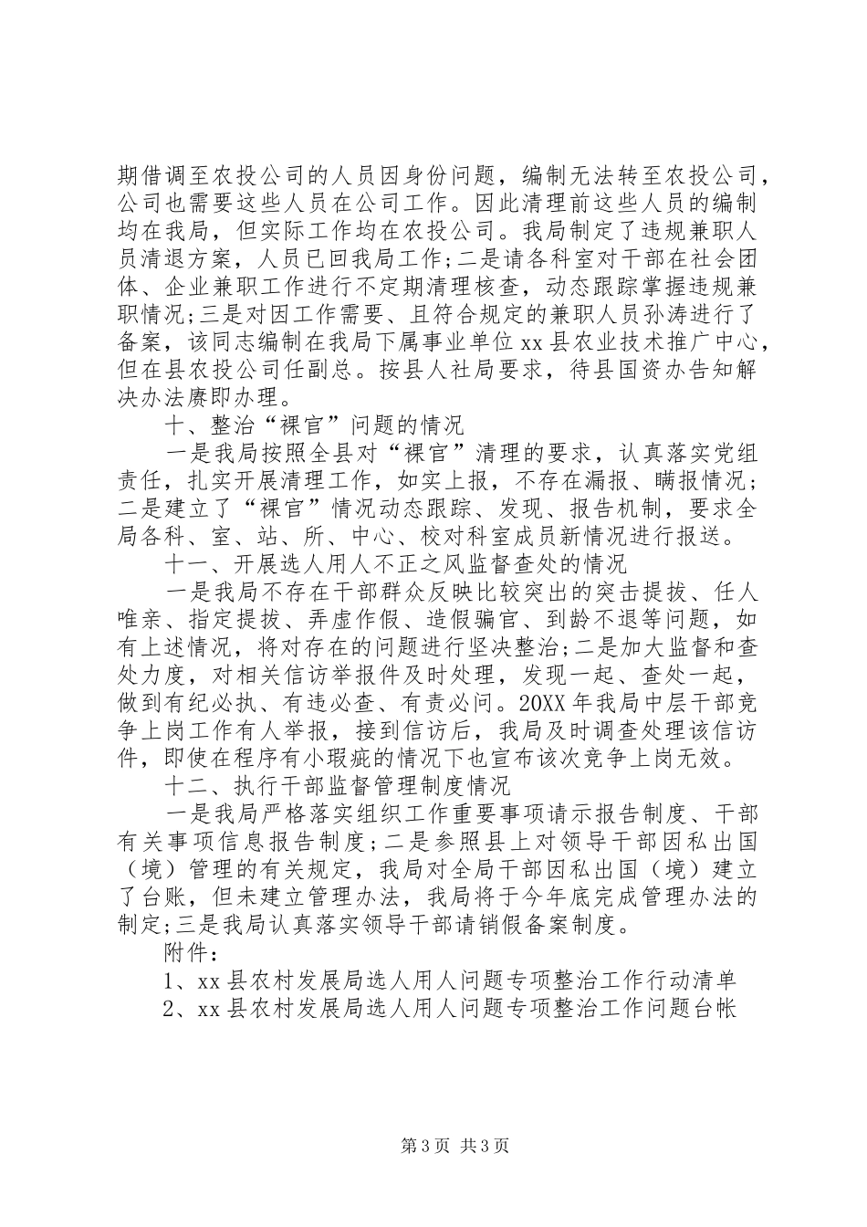 2024年农村发展局选人用人专项整治工作总结_第3页