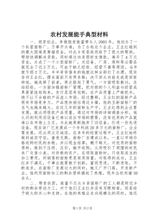 2024年农村发展能手典型材料