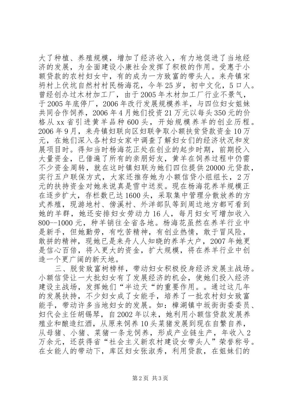 2024年农村妇女发展资金使用情况工作总结_第2页