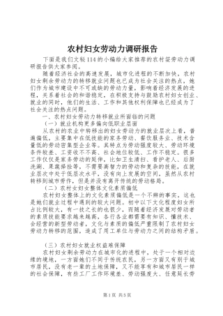 2024年农村妇女劳动力调研报告