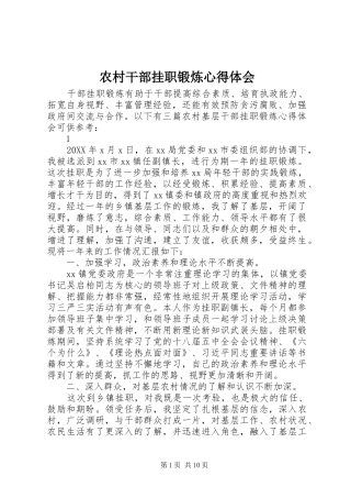 2024年农村干部挂职锻炼心得体会