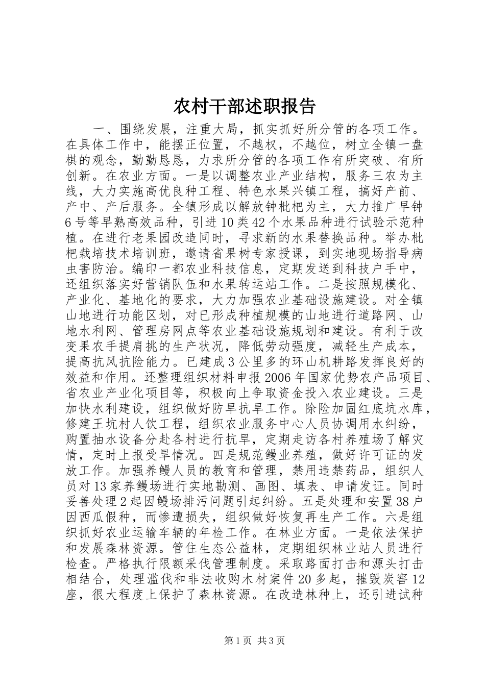 2024年农村干部述职报告_第1页