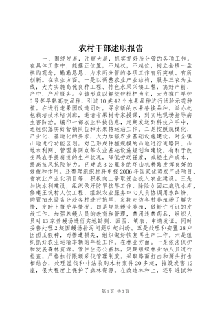 2024年农村干部述职报告