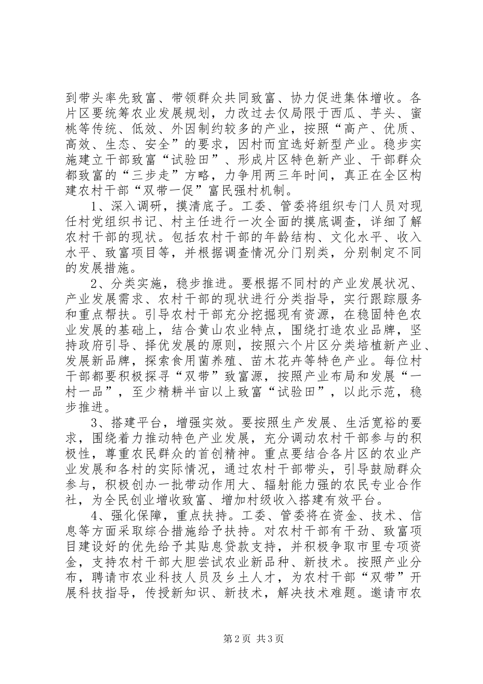 2024年农村干部双带一促工作意见_第2页