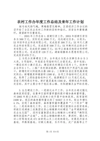 2024年农村工作办年度工作总结及来年工作计划