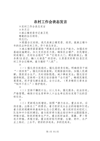 2024年农村工作会表态讲话