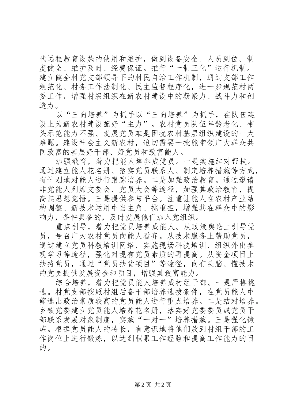 2024年农村工作载体思考_第2页