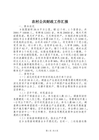 2024年农村公共财政工作汇报