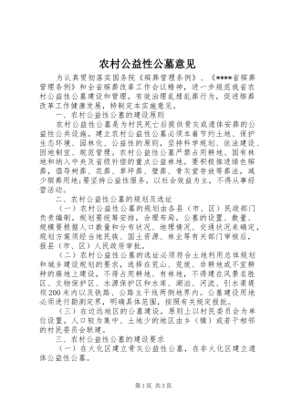 2024年农村公益性公墓意见