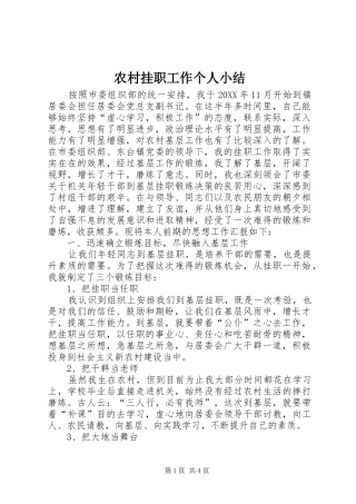 2024年农村挂职工作个人小结