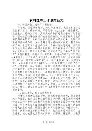 2024年农村挂职工作总结范文