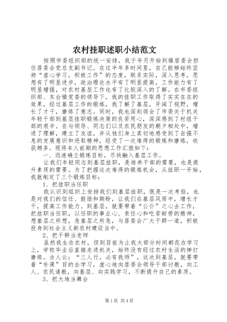 2024年农村挂职述职小结范文