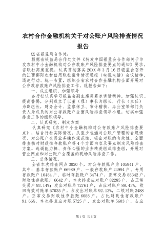 2024年农村合作金融机构关于对公账户风险排查情况报告