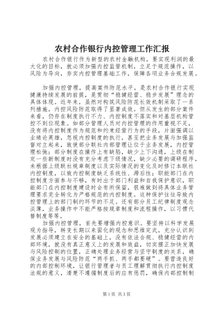 2024年农村合作银行内控管理工作汇报