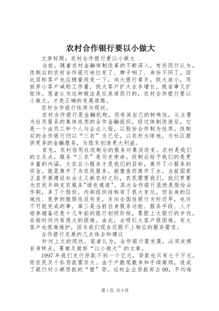 2024年农村合作银行要以小做大