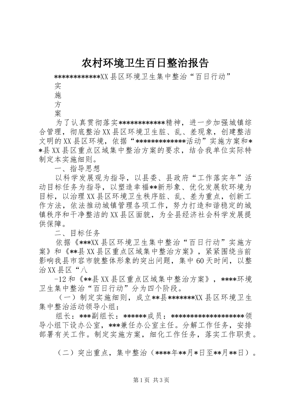 2024年农村环境卫生百日整治报告_第1页