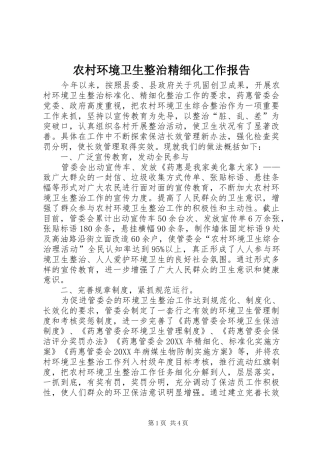 2024年农村环境卫生整治精细化工作报告