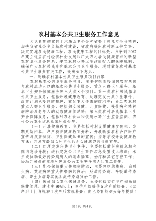 2024年农村基本公共卫生服务工作意见
