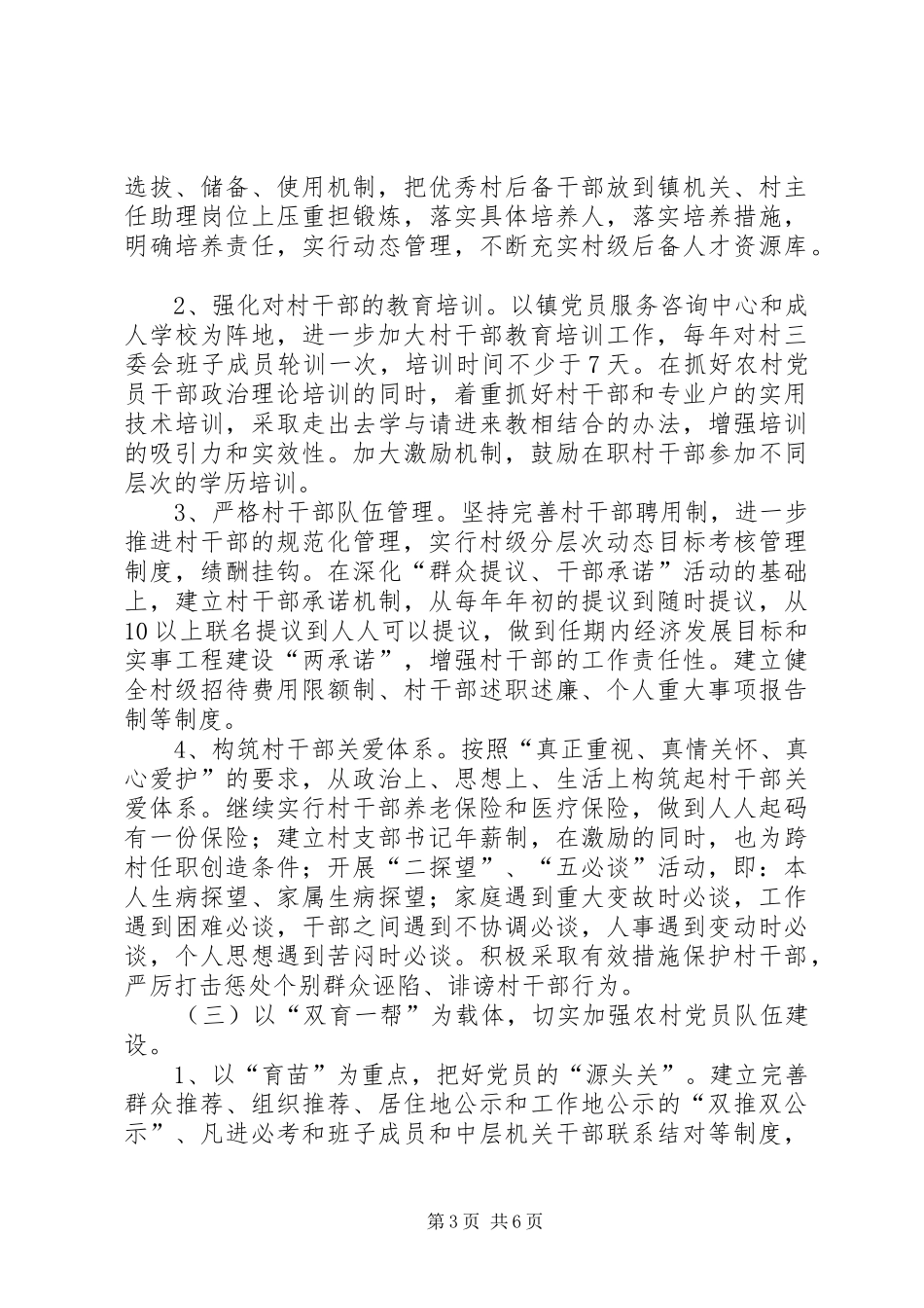 2024年农村基层党组织建设报告_第3页