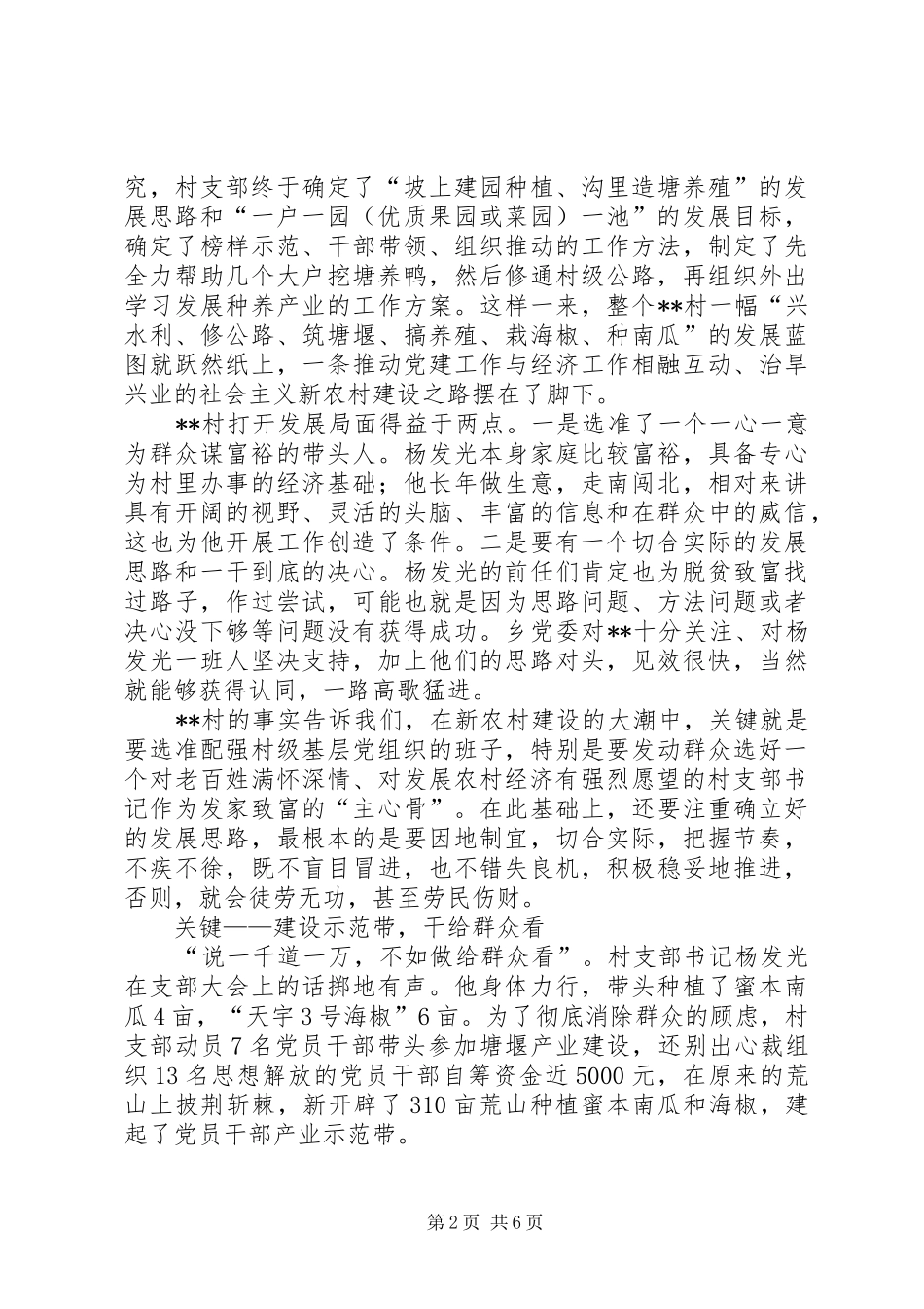 2024年农村基层党组织实践思考_第2页