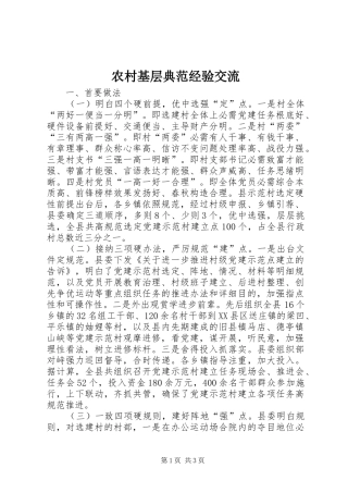 2024年农村基层典范经验交流