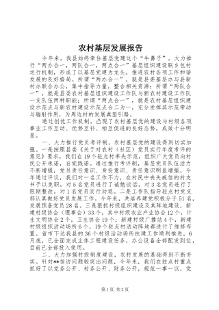 2024年农村基层发展报告