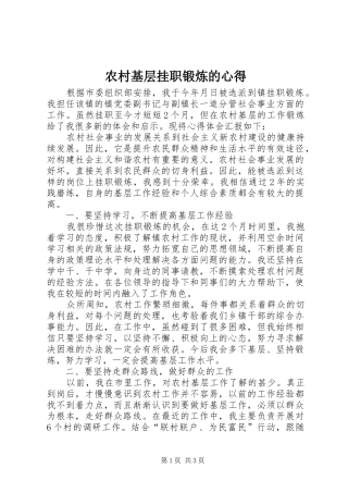 2024年农村基层挂职锻炼的心得