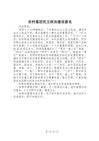 2024年农村基层民主政治建设意见