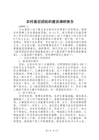 2024年农村基层团组织建设调研报告