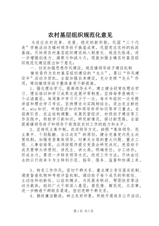 2024年农村基层组织规范化意见