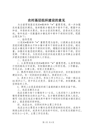 2024年农村基层组织建设的意见