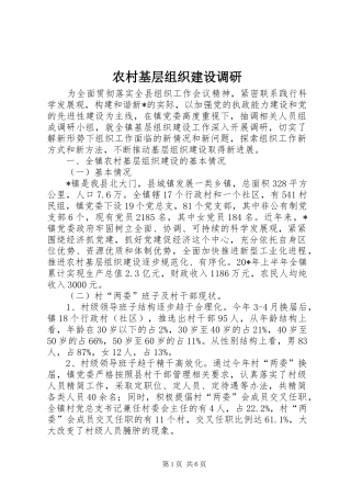 2024年农村基层组织建设调研