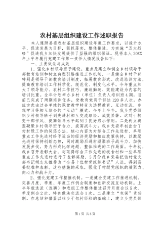 2024年农村基层组织建设工作述职报告