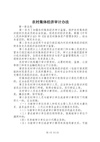 2024年农村集体经济审计办法