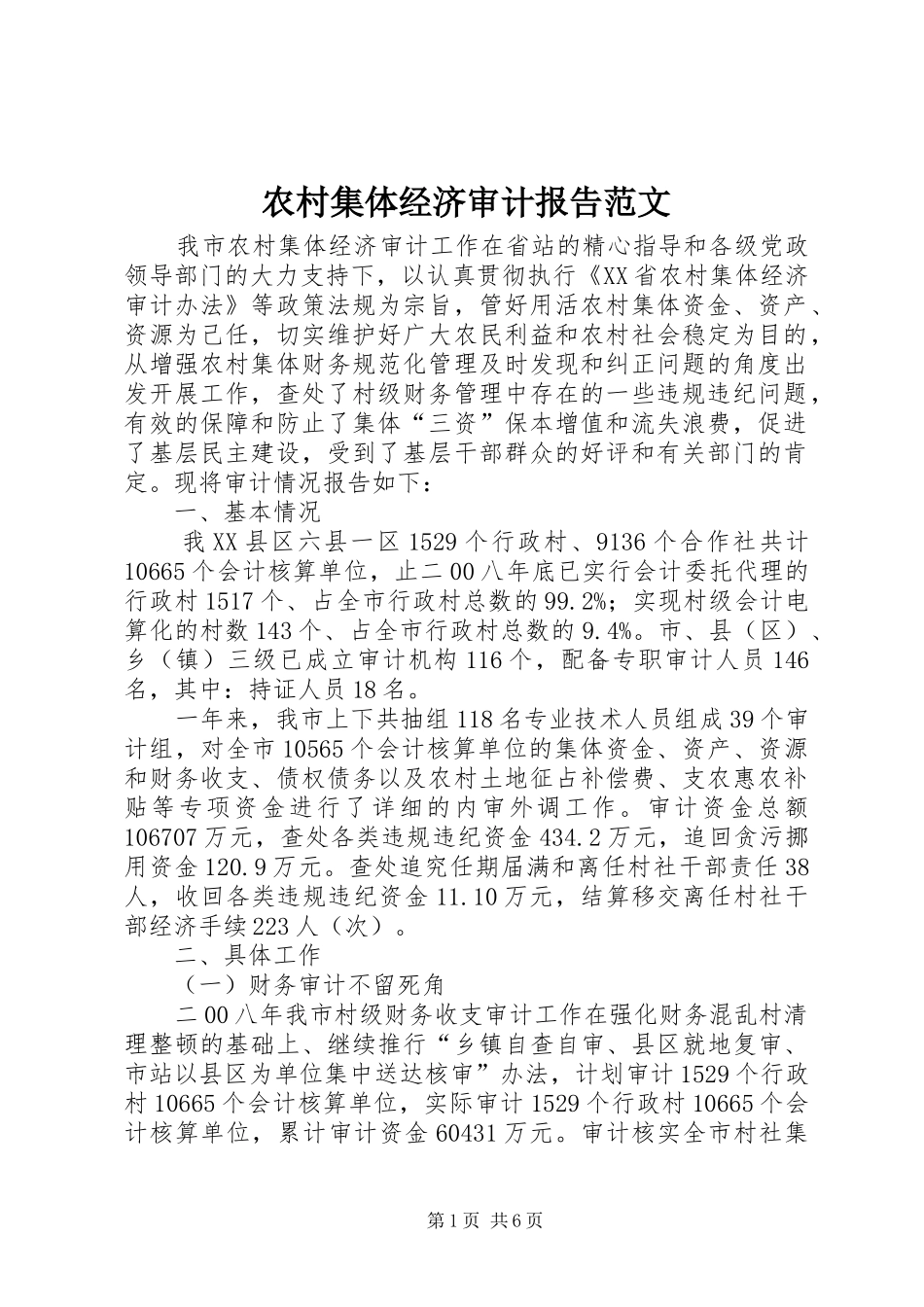2024年农村集体经济审计报告范文_第1页
