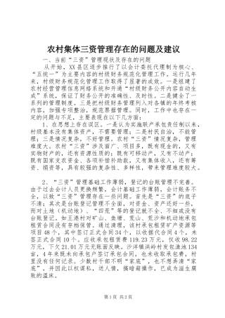 2024年农村集体三资管理存在的问题及建议