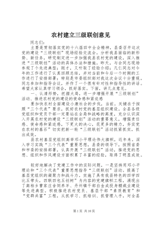 2024年农村建立三级联创意见